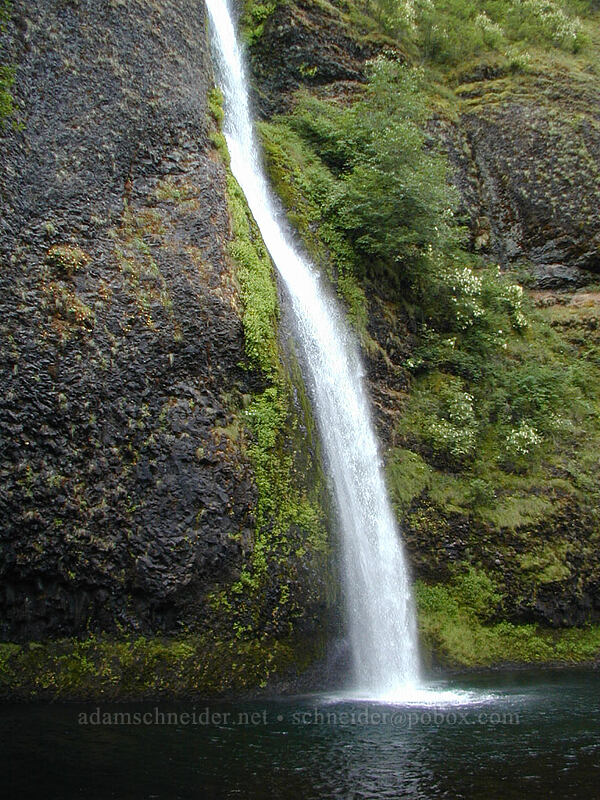 Horsetail Falls [Columbia River Gorge, Multnomah County, Oregon]