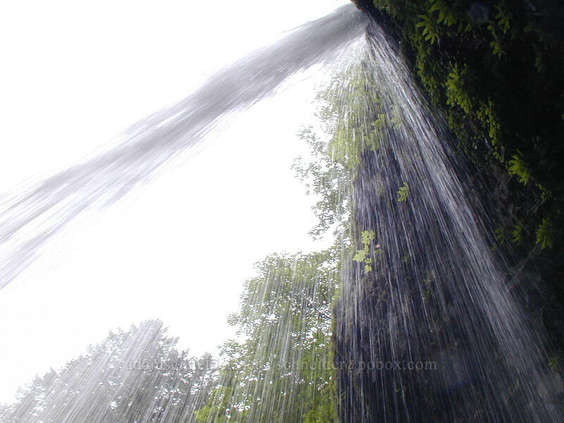 Ponytail Falls [Columbia River Gorge, Multnomah County, Oregon]