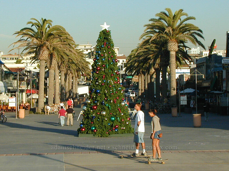 Christmas in L.A. [Pier Plaza, Hermosa Beach, Los Angeles County, California]