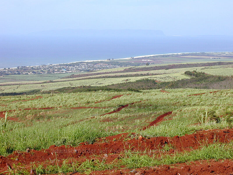 red dirt in cane fields, looking over Kekaha toward Ni'ihau [Waimea Canyon Drive, Waimea, Kaua'i, Hawaii]