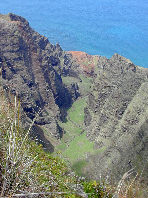 Awa'awapuhi Valley [Awa'awaphui Trail, Koke'e State Park, Kaua'i, Hawaii]