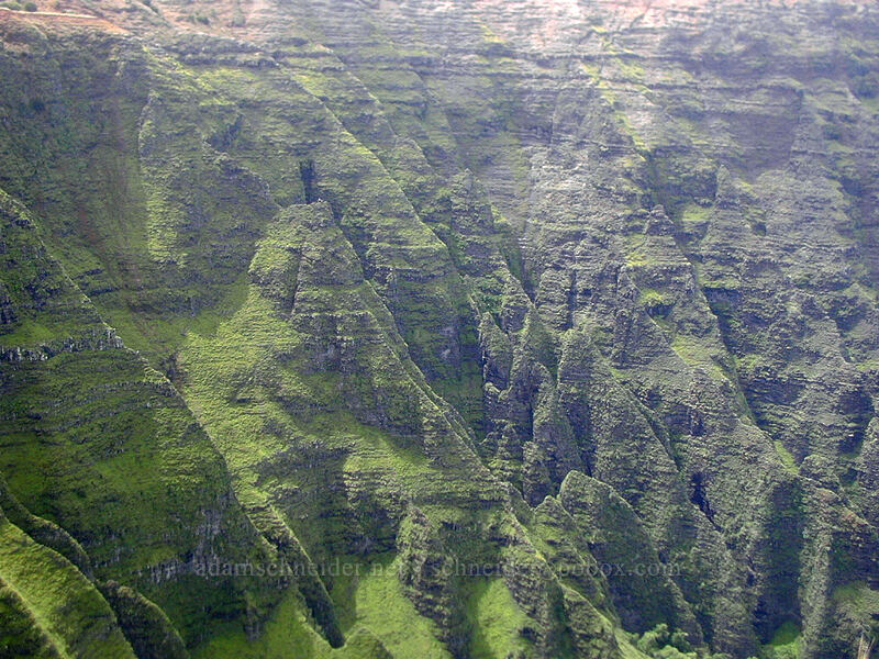 Nu'alolo Valley [Awa'awaphui Trail, Koke'e State Park, Kaua'i, Hawaii]