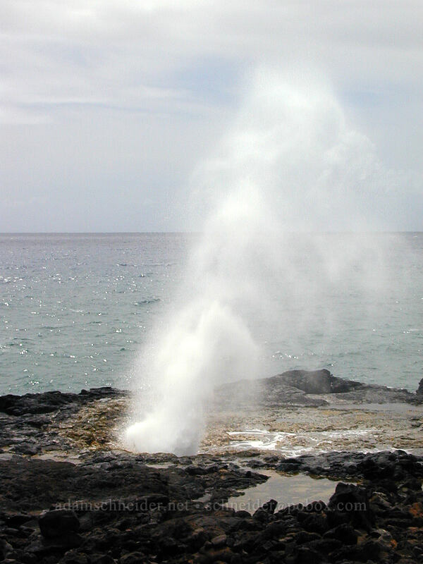 Spouting Horn blowhole [Spouting Horn Beach Park, Kukui'ula, Kaua'i, Hawaii]