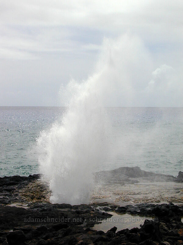 Spouting Horn blowhole [Spouting Horn Beach Park, Kukui'ula, Kaua'i, Hawaii]