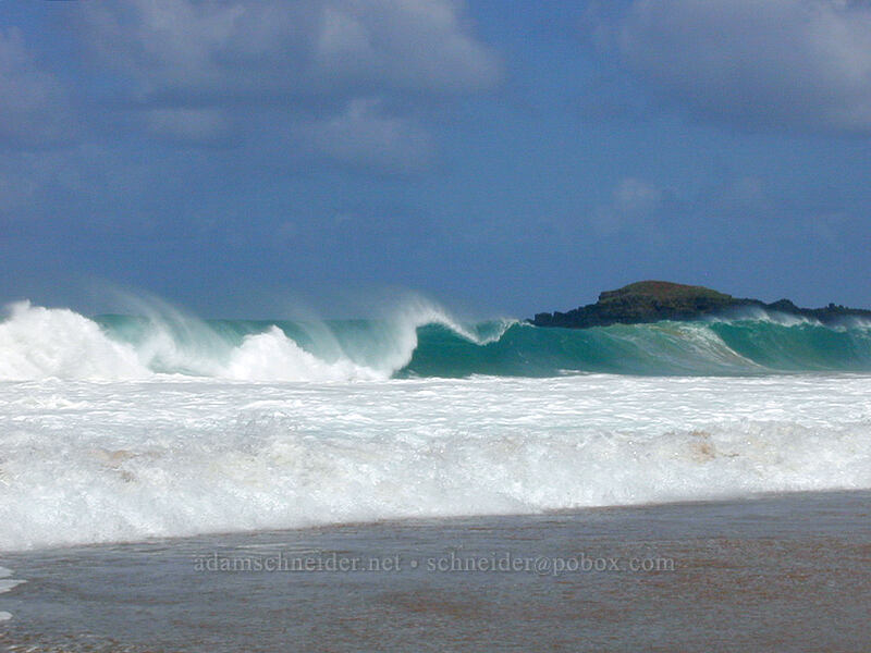 big waves at Secret Beach [Kauapea Beach, Kilauea, Kaua'i, Hawaii]