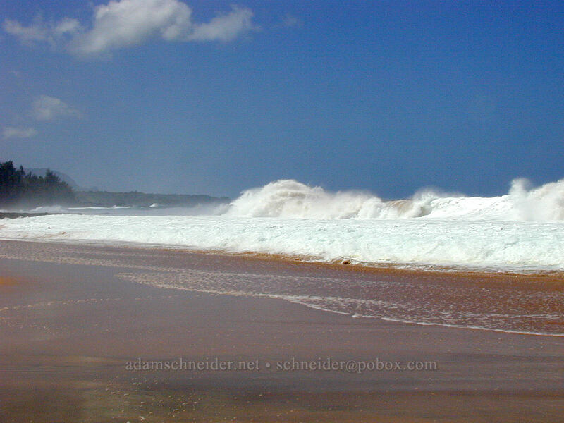 big waves at Secret Beach [Kauapea Beach, Kilauea, Kaua'i, Hawaii]