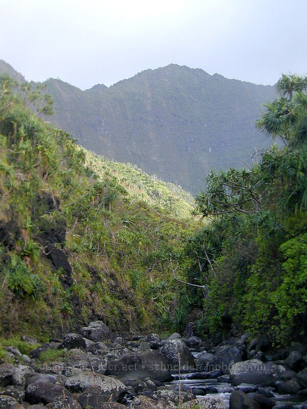 Hanakapi'ai Stream, looking mauka [Hanakapi'ai Valley, Na Pali Coast State Park, Kaua'i, Hawaii]