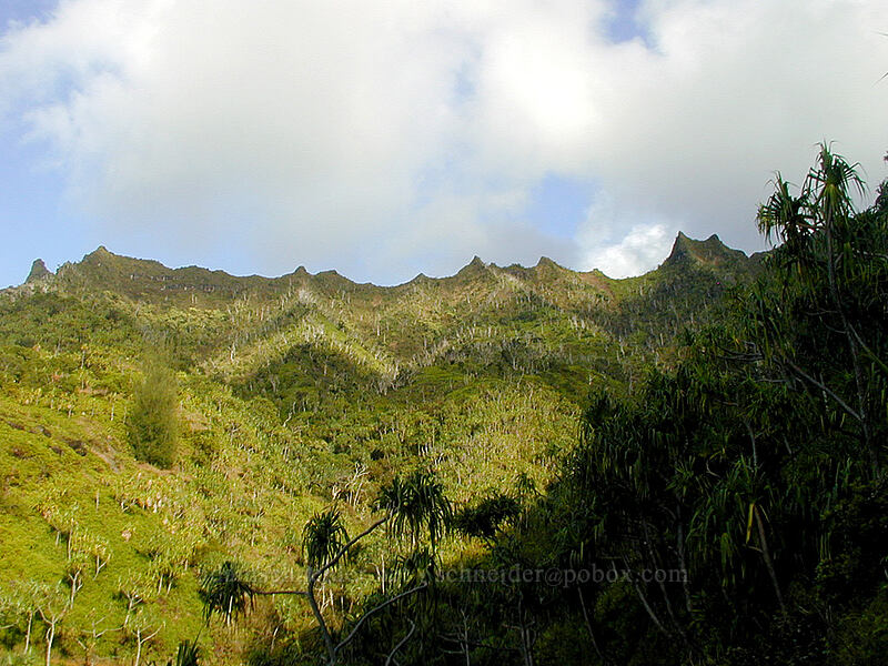 jagged ridge line behind Makana and Mauna Pulu'o [Kalalau Trail, Na Pali Coast State Park, Kaua'i, Hawaii]