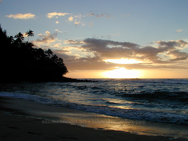 sunset with palm trees and beach [Ke'e Beach, Ha'ena State Park, Kaua'i, Hawaii]