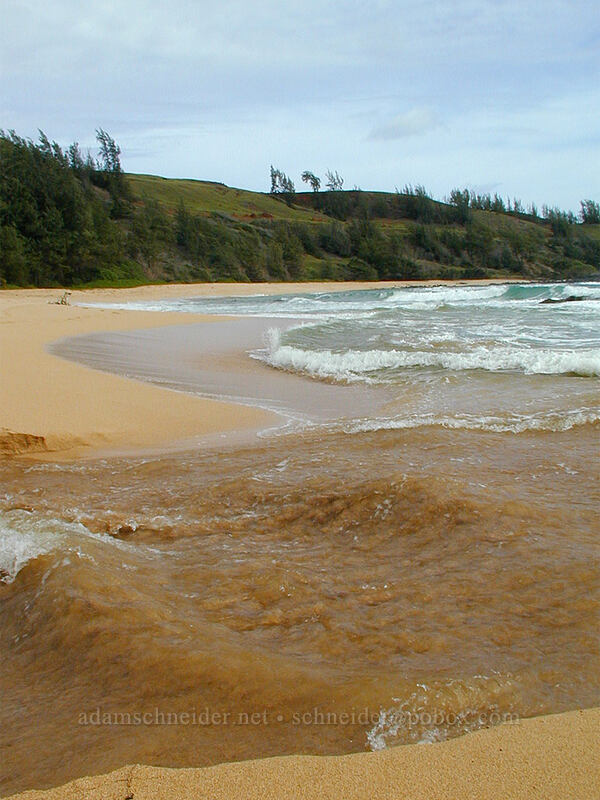 mouth of Moloa'a Stream [Moloa'a Bay, Anahola, Kaua'i, Hawaii]