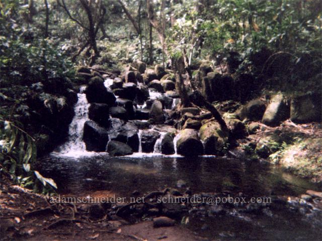 Stream below Ho'olalaea Falls. , Kaua'i
