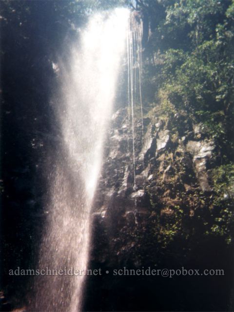 Ho'olalaea Falls. , Kaua'i
