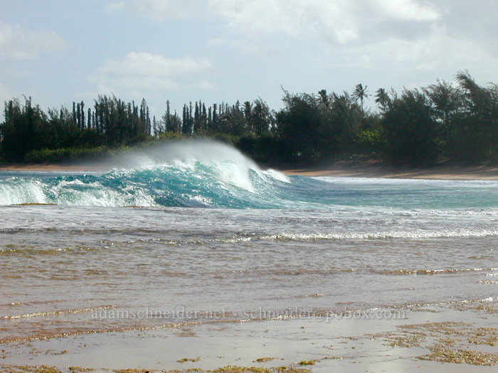 waves [Ha'ena Beach Park, Ha'ena, Kaua'i, Hawaii]
