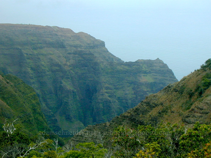 Nu'alolo Valley [Honopu Trail, Na Pali Coast, Kaua'i, Hawaii]