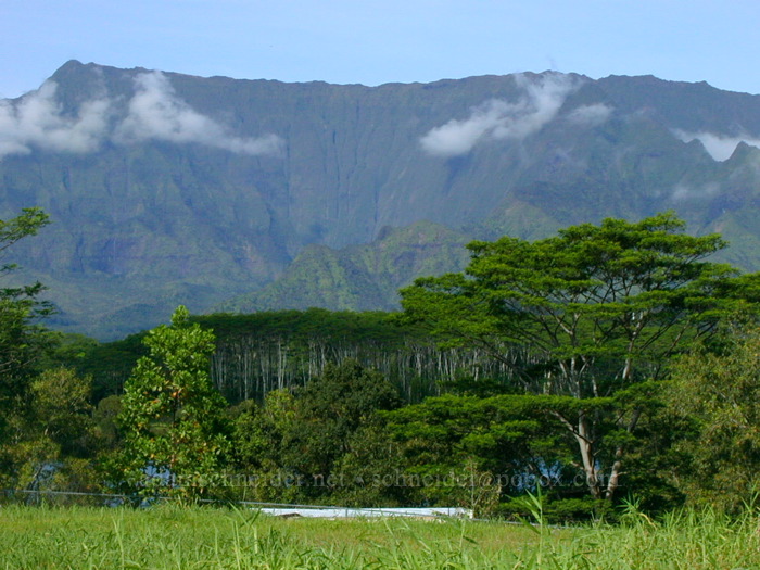 Wai'ale'ale Crater [Kuamo'o Road, Wailua Homesteads, Kaua'i, Hawaii]