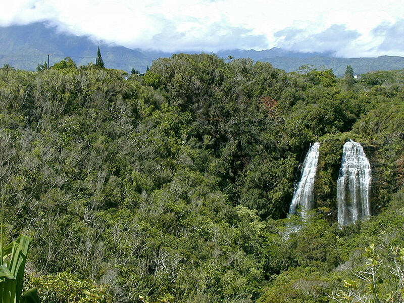 Opaeka'a Falls [Kuamo'o Road, Wailua Valley, Kaua'i, Hawaii]
