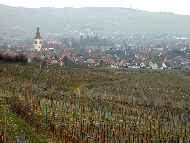 vineyards & Ammerschwihr [Croix de Meywihr trail, Ammerschwihr, Haut-Rhin, France]