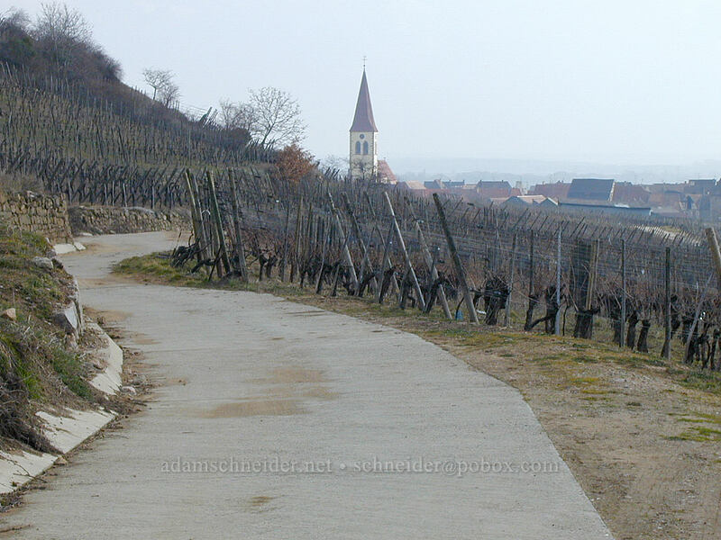 path through vineyards [Le Waldbach, Ammerschwihr, Haut-Rhin, France]