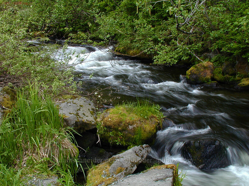 Camp Creek [Mirror Lake trailhead, Mt. Hood National Forest, Clackamas County, Oregon]