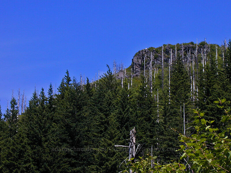 top of Angel's Rest [Angel's Rest Trail, Multnomah County, Oregon]