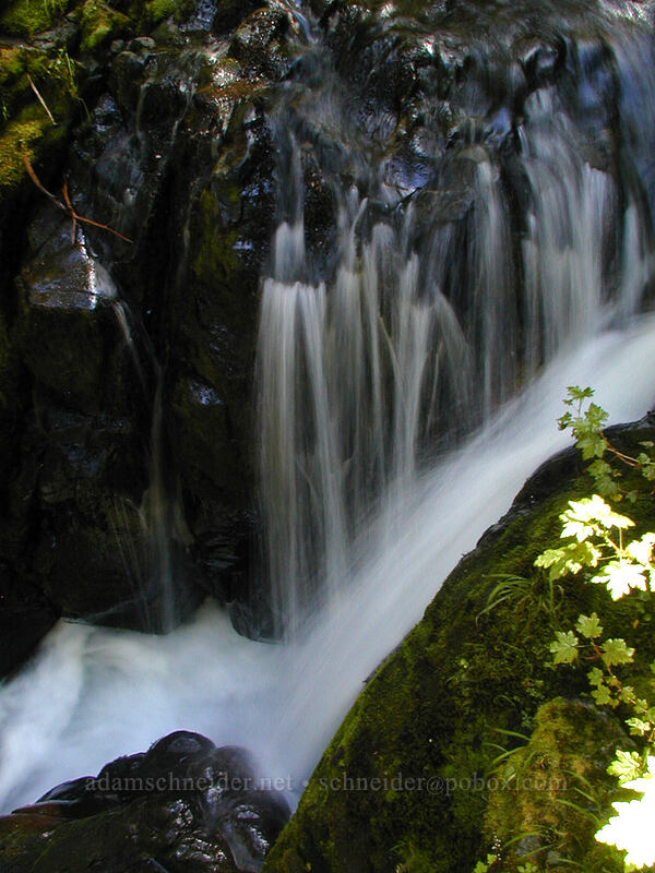 Small waterfall [Lost Creek Falls, Mt. Hood Wilderness, Clackamas County, Oregon]