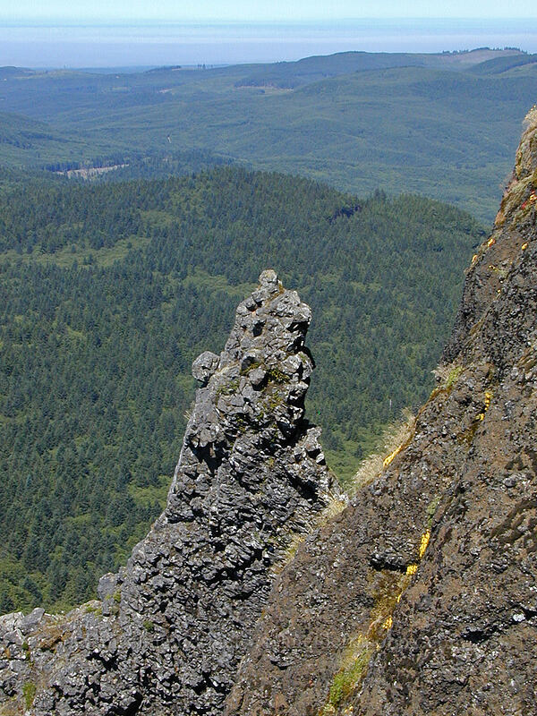 basalt pinnacle [Saddle Mountain, Clatsop County, Oregon]