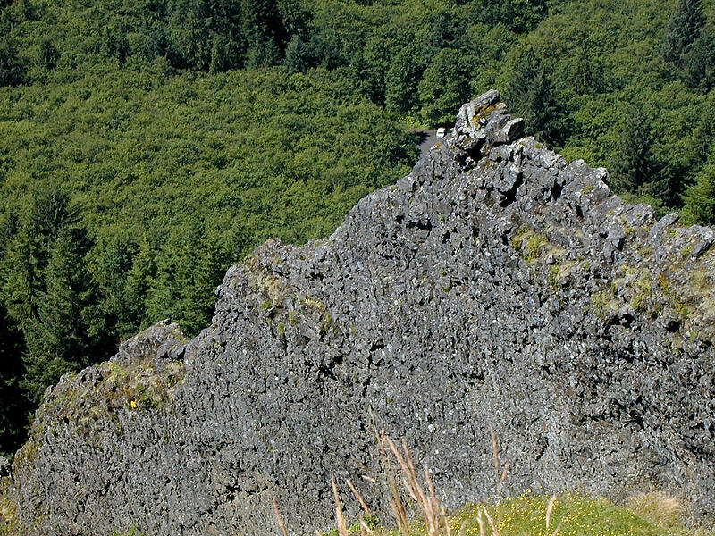 thin basaltic dike [Saddle Mountain, Clatsop County, Oregon]