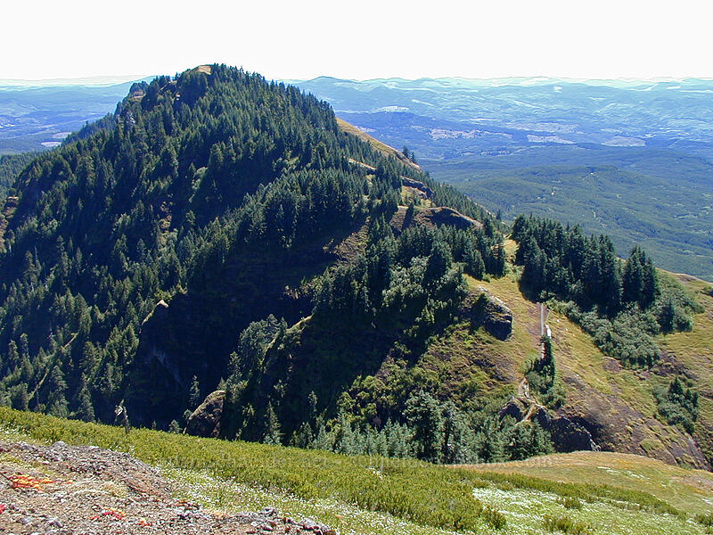 Saddle Mountain's eastern summit [Saddle Mountain summit, Clatsop County, Oregon]