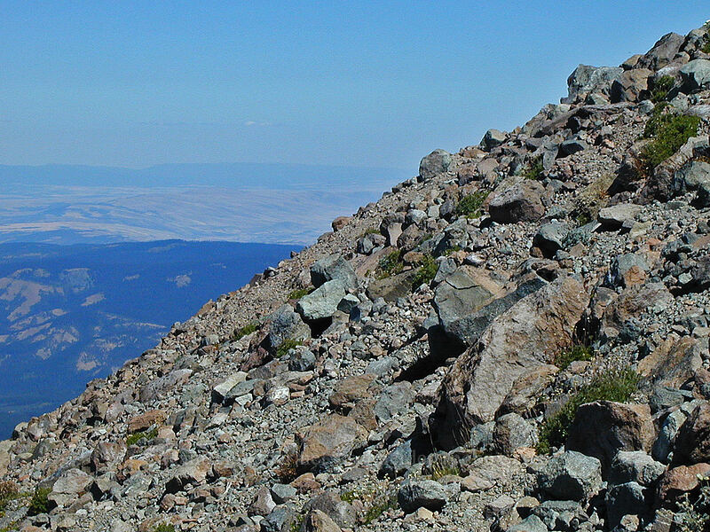 north slope of Barrett Spur [Barrett Spur, Mt. Hood Wilderness, Hood River County, Oregon]