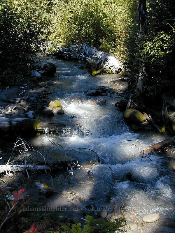 Clark Creek [Elk Meadows Trail, Mt. Hood Wilderness, Hood River County, Oregon]
