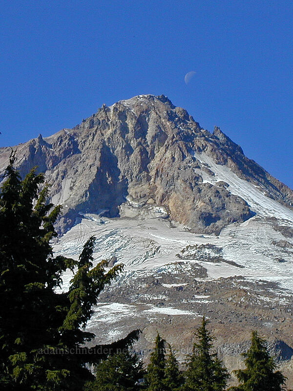 moon over Mount Hood [Timberline Trail, Mt. Hood Wilderness, Hood River County, Oregon]