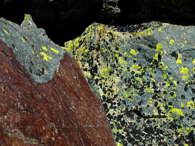 red rock & lichen [Gnarl Ridge, Mt. Hood Wilderness, Hood River County, Oregon]