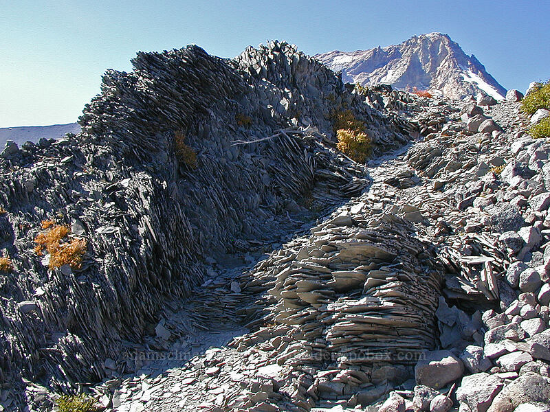 huge piles of shattered volcanic rock [Gnarl Ridge, Mt. Hood Wilderness, Hood River County, Oregon]