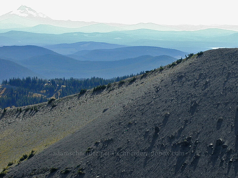 view to the south across Newton Creek Canyon [Gnarl Ridge, Mt. Hood Wilderness, Hood River County, Oregon]