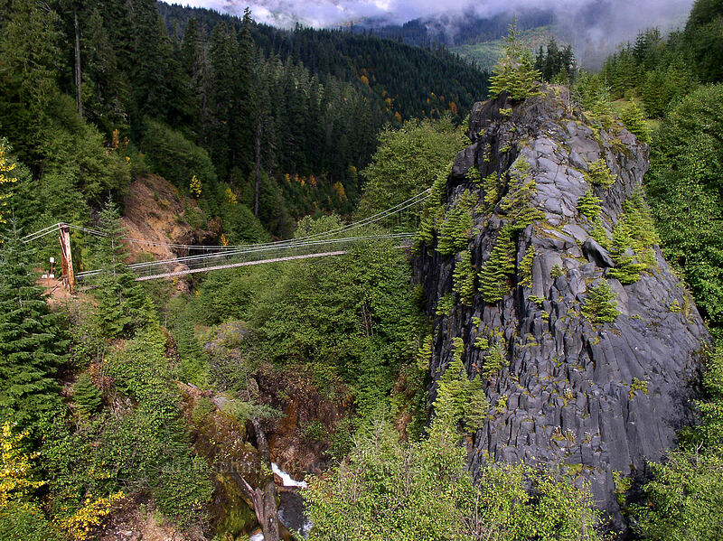 suspension bridge [Lava Canyon Trail, Mt. St. Helens N.V.M., Skamania County, Washington]