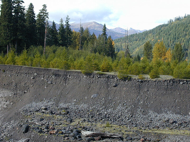 eroded lahar deposit with 1980 blast zone in the distance [Lava Canyon Trail, Mt. St. Helens N.V.M., Skamania County, Washington]