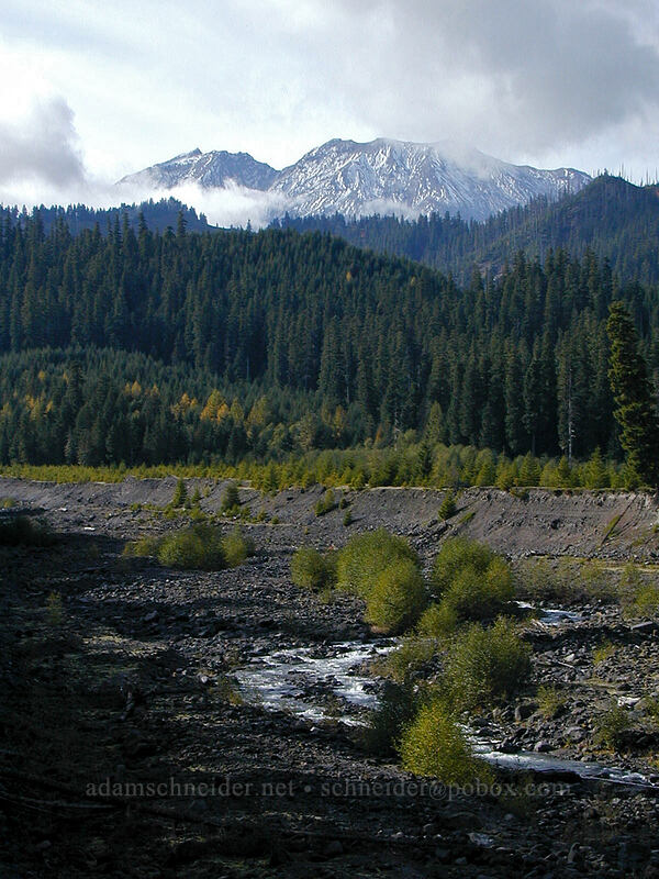 Mount St. Helens & the Muddy River [Southern Smith Creek trailhead, Mt. St. Helens N.V.M., Skamania County, Washington]