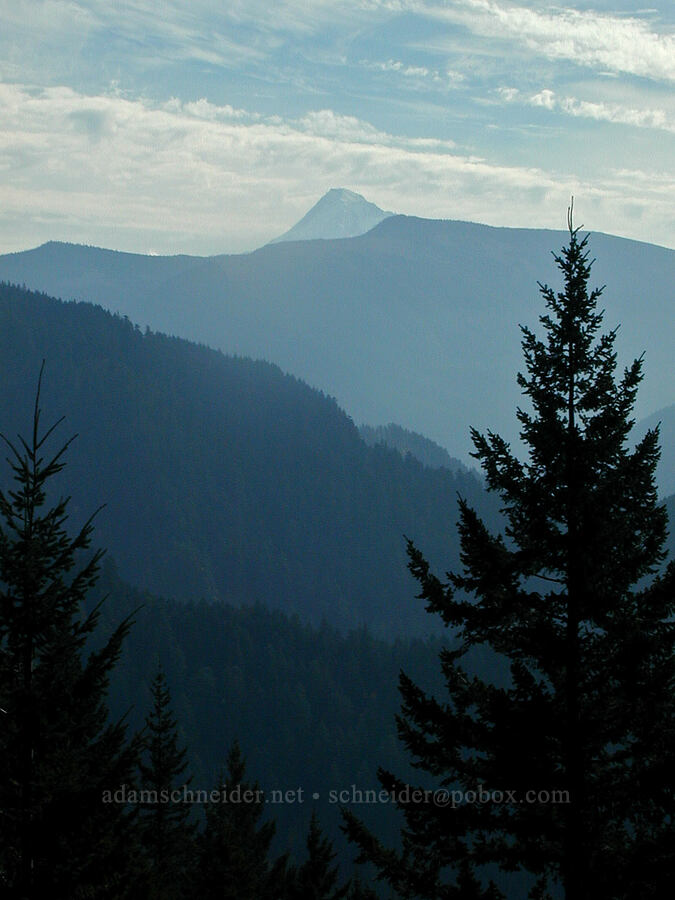 Mount Hood [Ruckel Ridge Trail, Columbia River Gorge, Hood River County, Oregon]