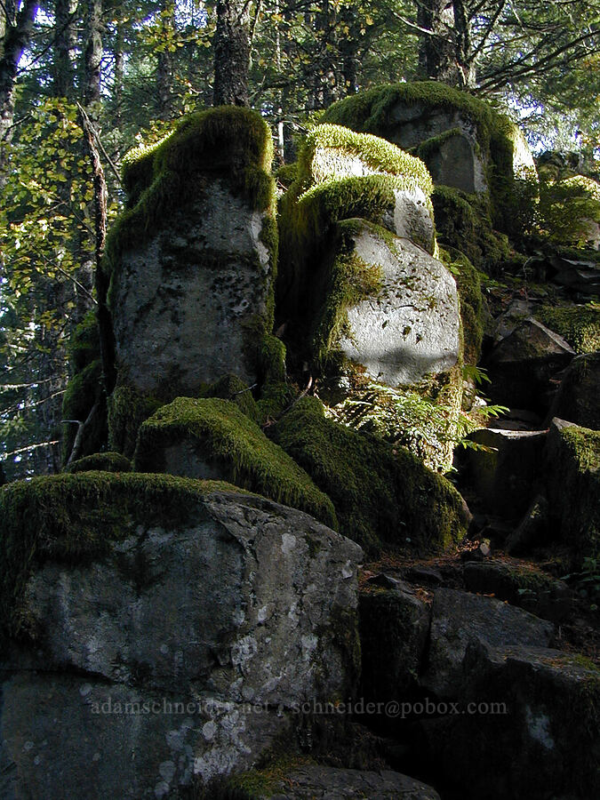 basalt pinnacles [Ruckel Ridge Trail, Columbia River Gorge, Hood River County, Oregon]
