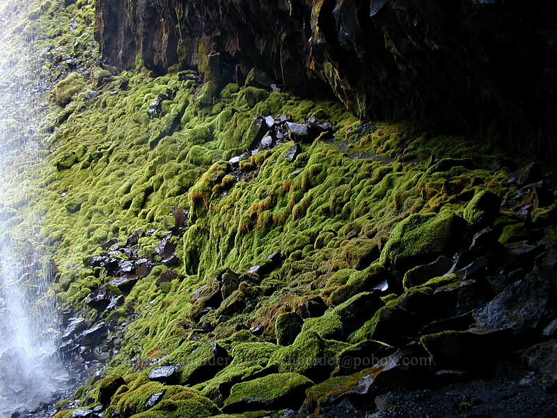 moss-covered rocks [Tamanawas Falls rock shelter, Mt. Hood National Forest, Hood River County, Oregon]