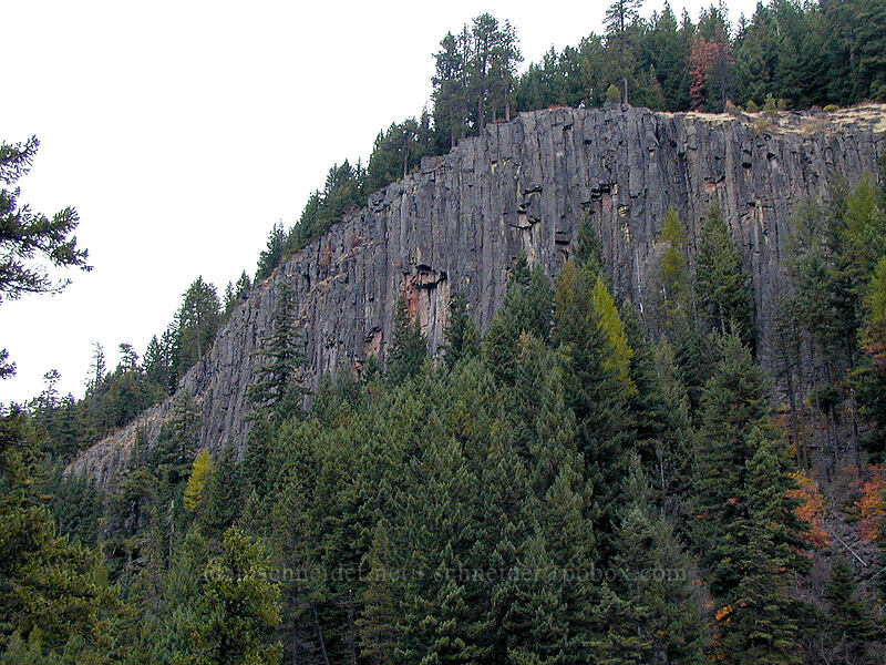 cliff above East Fork Hood River [East Fork Trail, Mt. Hood National Forest, Hood River County, Oregon]