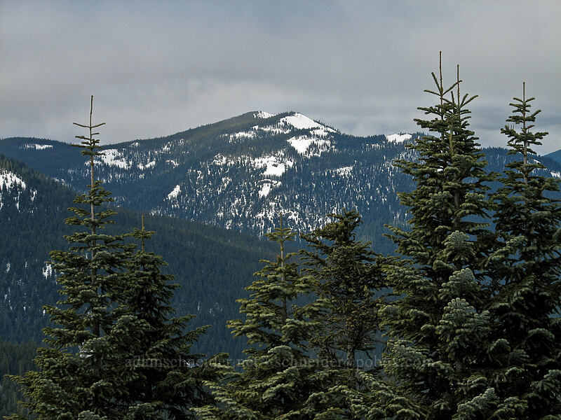Barlow Ridge [Ghost Ridge, Mt. Hood National Forest, Clackamas County, Oregon]