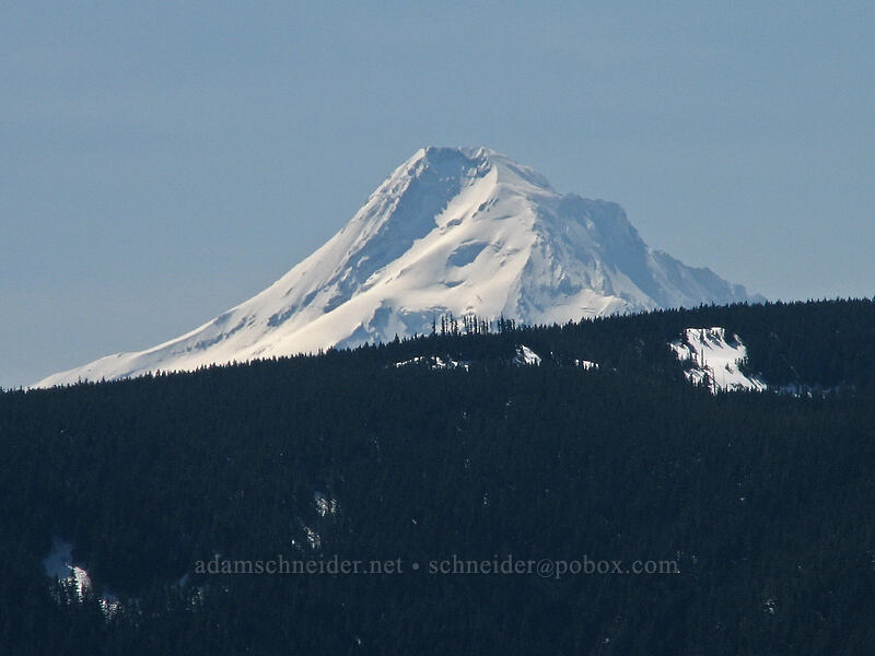 Mount Hood (23 miles away) [Summit of Dog Mountain, Columbia River Gorge, Skamania County, Washington]