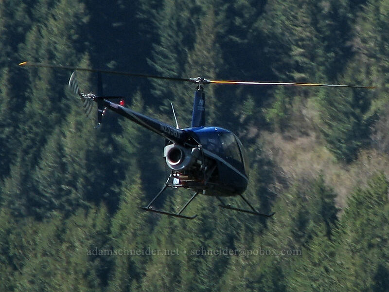 helicopter [Summit of Dog Mountain, Columbia River Gorge, Skamania County, Washington]