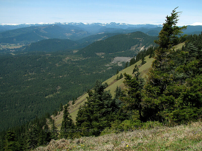 distant mountains & the west side of Dog Mountain [Summit of Dog Mountain, Columbia River Gorge, Skamania County, Washington]