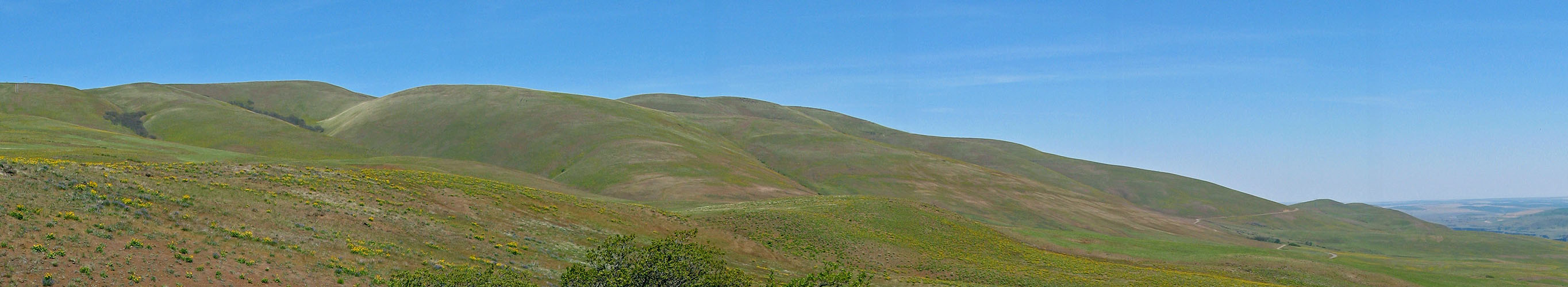 Columbia Hills panorama [Dalles Mountain Ranch, Columbia Hills State Park, Klickitat County, Washington]