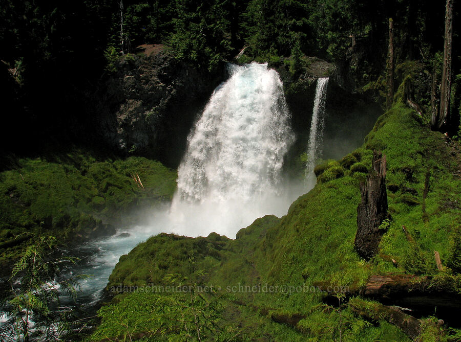 Sahalie Falls [Sahalie Falls Viewpoint, Willamette National Forest, Linn County, Oregon]