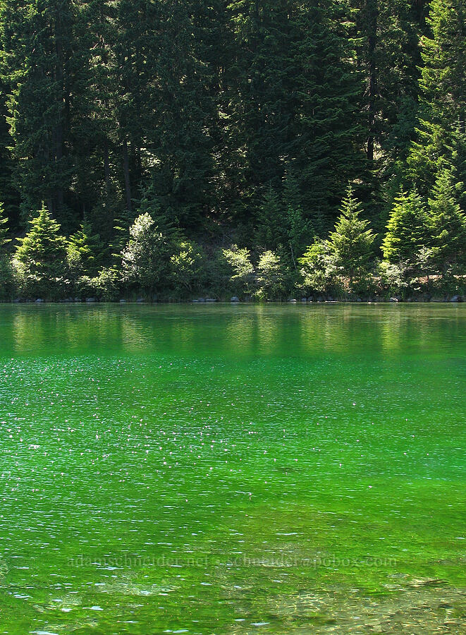 very green-looking water [Carmen Reservoir Bridge, Willamette National Forest, Linn County, Oregon]