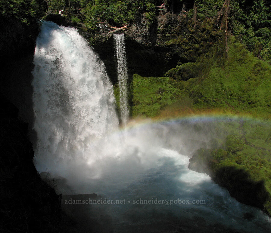 Sahalie Falls [McKenzie River Trail, Willamette National Forest, Linn County, Oregon]