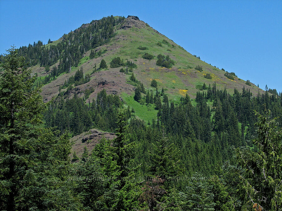 Cone Peak [Iron Mountain-Cone Peak saddle, Willamette National Forest, Linn County, Oregon]